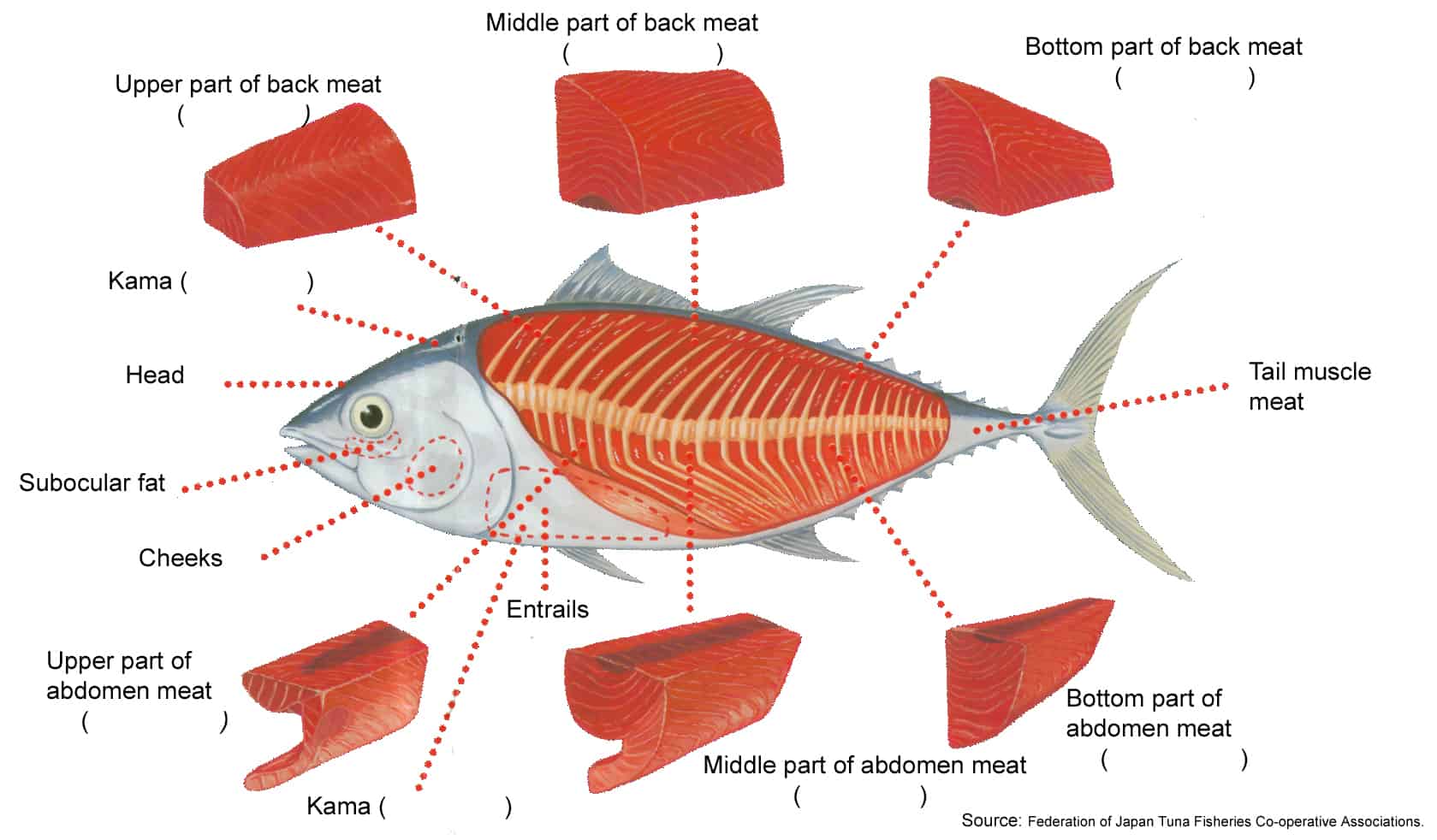 Tuna Cross Section