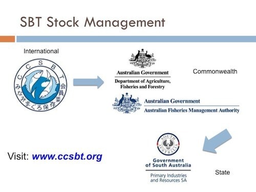 Stock Management Arrangements