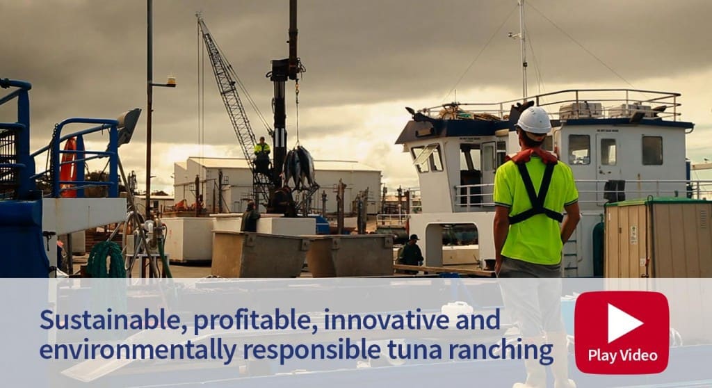 Careers in the bluefin tuna industry