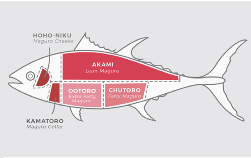 Какие отношения между китом и тунцом. Строение тунца. Строение тунца внутреннее. Тунец Аками. Разделка тунца схема.